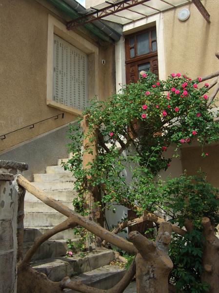 2010-05- (54).JPG
